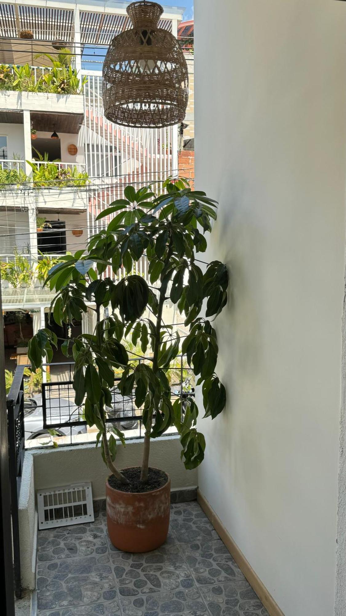 Luum Casa Hotel Manila 메딜린 외부 사진